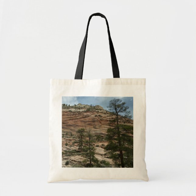 Worn Rock Walls in Zion National Park Tote Bag (Front)