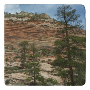 Worn Rock Walls in Zion National Park Trivet