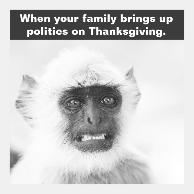 Worried Monkey Meme (Front)