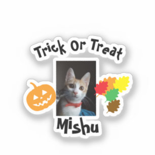 Worry Ginger Cat, Photo Name, Customize, Halloween Sticker