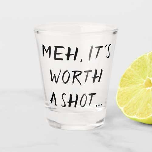 Worth a Shot  Adult Beverage Humor Quote Brush Shot Glass