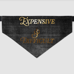 Worth Every Penny. Most Days Pet Bandana Collar