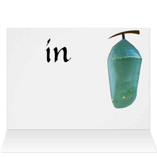 Worth the wait (Inside Horizontal (Top))