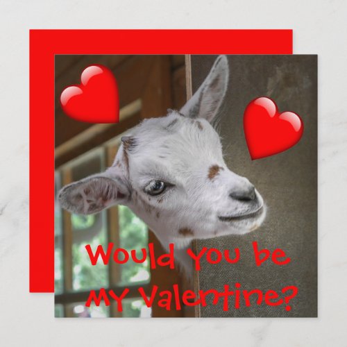 Would You Be My Valentine Goat Funny Card