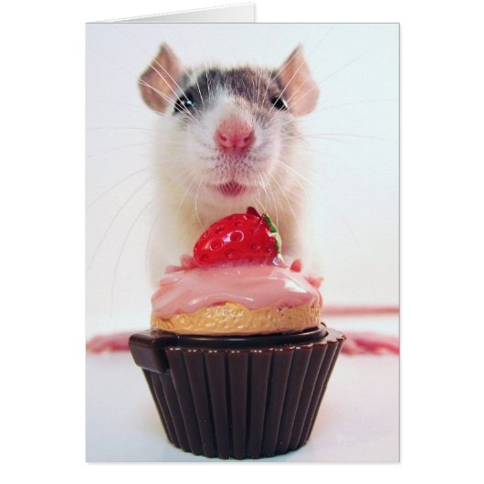 Would Yous Likes a Candy? (Front)