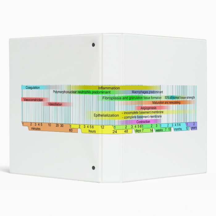 Wound Healing Phases Diagram Vinyl Binders