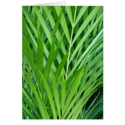 Woven In Green Cards (Front)