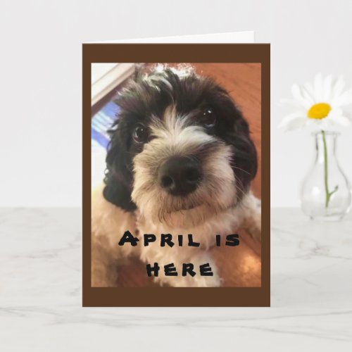 WOWBOW WOW ITS YOUR APRIL BIRTHDAY CARD