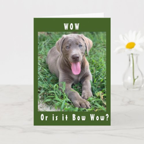 WOWBOW WOW ITS YOUR APRIL BIRTHDAY CARD