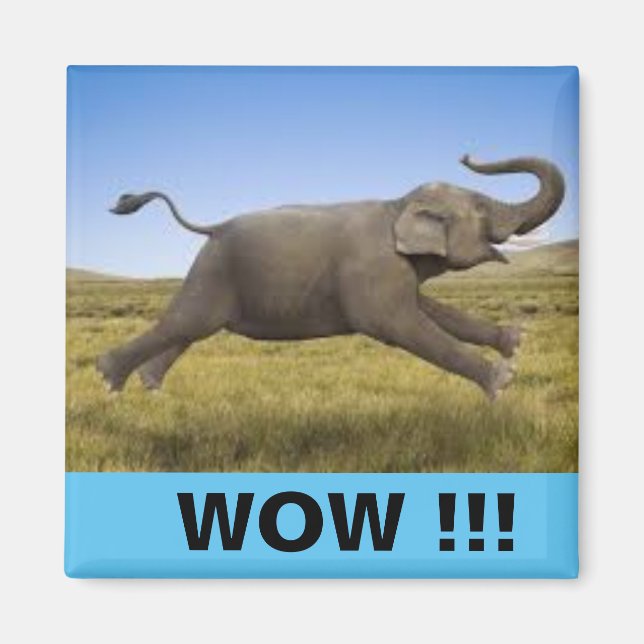 WOW Magnet (Front)