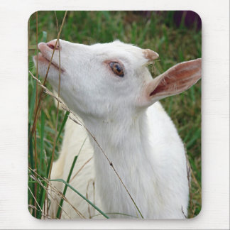 Wow! This Grass is Taller Than Me Mouse Pad