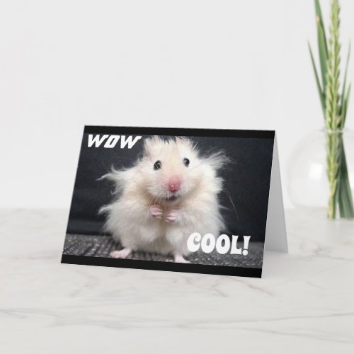 WOW YOU ARE 50 SAYS COOL HAMSTER CARD