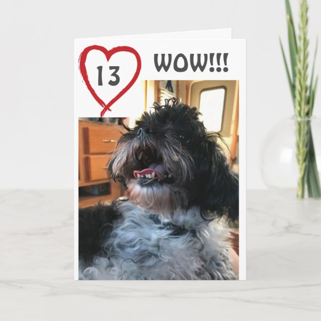 **WOW** YOU ARE HAVING A **13th** BIRTHDAY Card (Front)