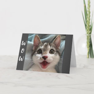 WOW YOU ARE TURNING ""16"" SAYS CAT CARD