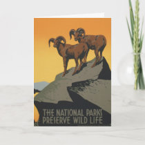 WPA Vintage National Parks Wildlife Travel Postcar