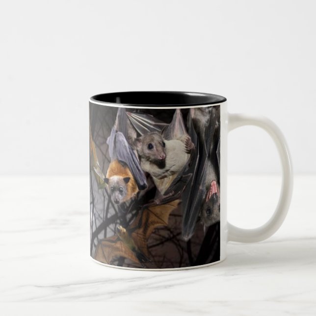 Wrap Around Fruit Bat Mug (Right)