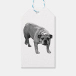 Wrap Finish Bulldog Tags