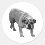 Wrap Seal Bulldog
