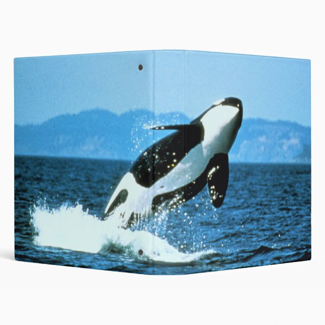 Wraparound Killer Whale Binder (Background)