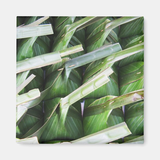 Wrapped Banana Leaf Packets Magnet (Front)