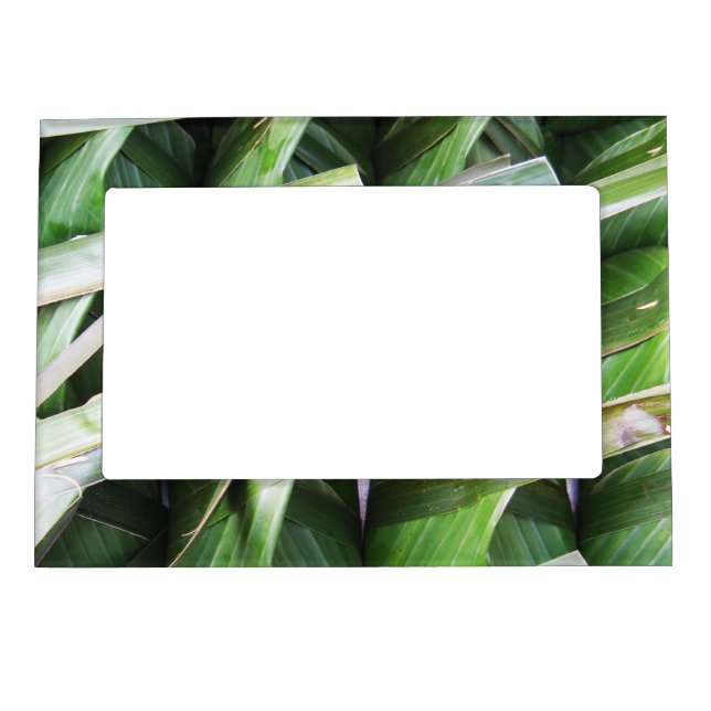 Wrapped Banana Leaf Packets Magnetic Frame (Front)