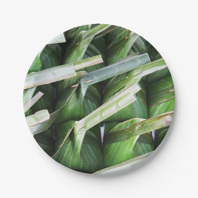 Wrapped Banana Leaf Packets Paper Plates (Front)