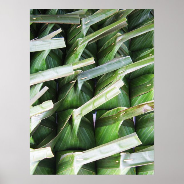 Wrapped Banana Leaf Packets Poster (Front)