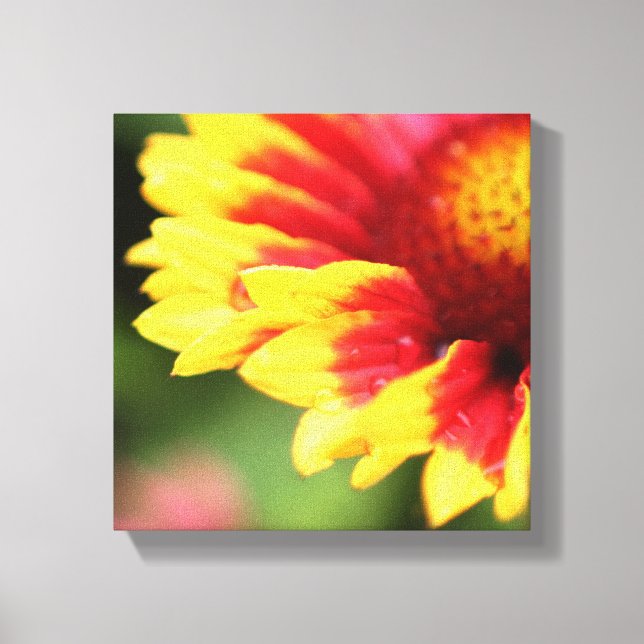 Wrapped botanical canvas flower photography print (Front)