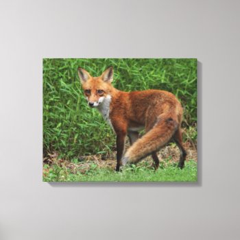 Wrapped Canvas by Considernature at Zazzle