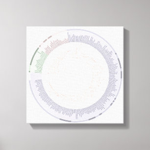 wrapped canvas A phylogenetic tree of life Chart Print