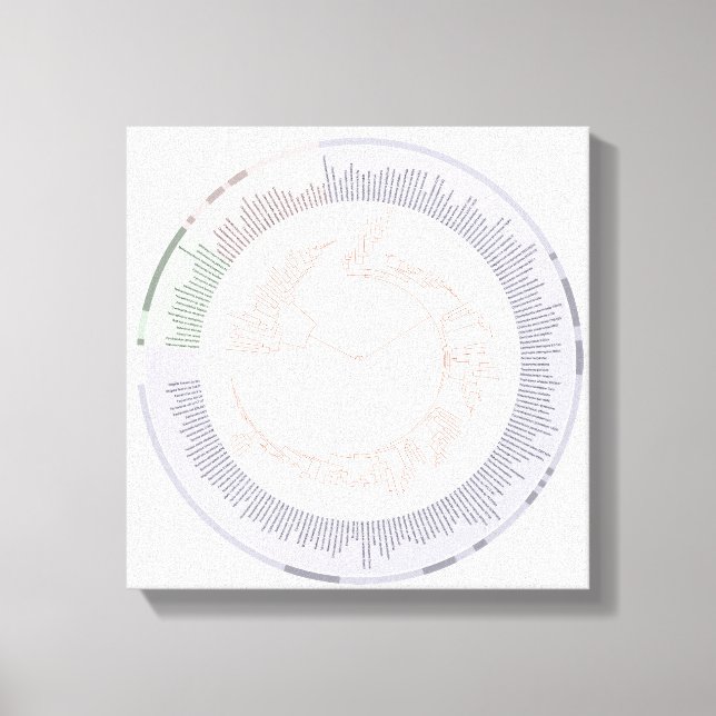 wrapped canvas A phylogenetic tree of life Chart Print (Front)