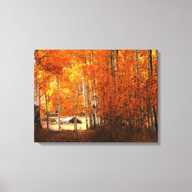 Wrapped Canvas Fine Art Cabin Aspen Autumn Colors (Front)