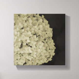 Wrapped canvas flower photography print artwork