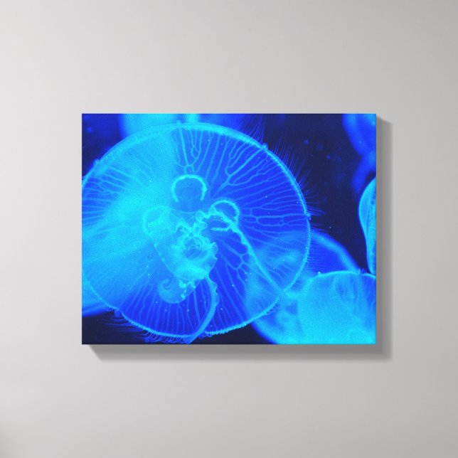 Wrapped Canvas Jelly Fish Print (Front)