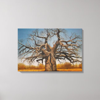 Wrapped Canvas Of Baobab Tree Print