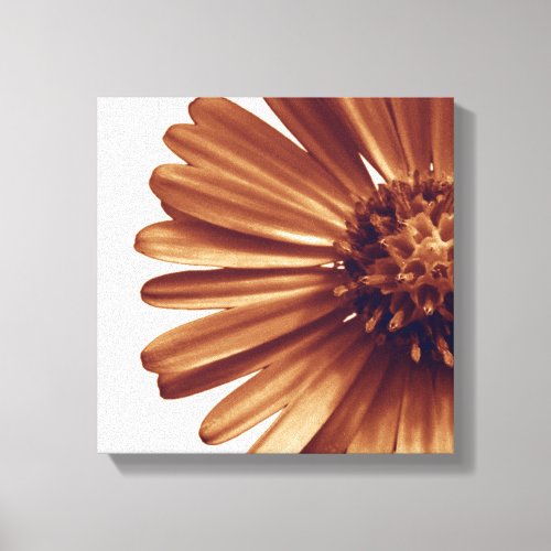 Wrapped Canvas Print Flower Aster
