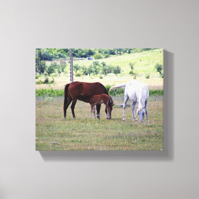 Wrapped Canvas Print, Horse Family (Front)