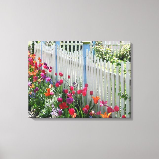 wrapped canvas tulips garden white picket fence (Front)