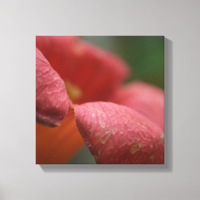 Wrapped canvus close up flowers canvas print (Front)