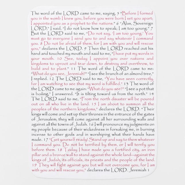 Wrapped in WORD Baby Blanket (Front)