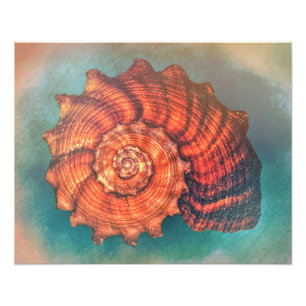Wrapped Up - Color Photo Print
