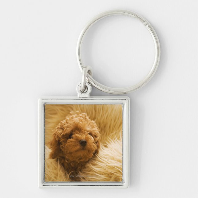 Wrapped up Poodle Keychain (Front)