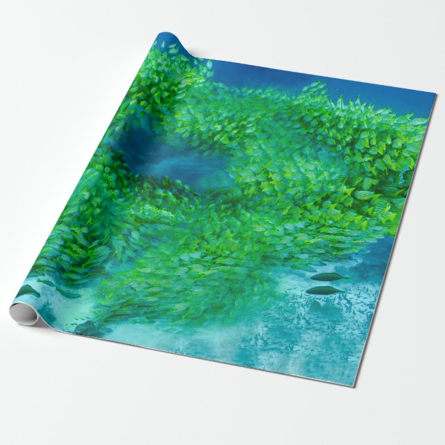 Wrapping Paper (Unrolled)