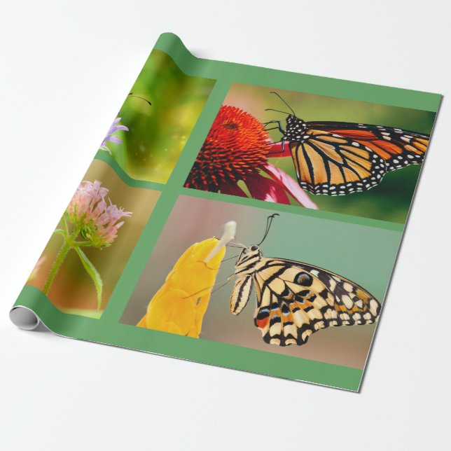 Wrapping Paper (Unrolled)