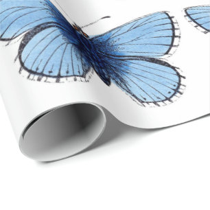 Wrapping Paper - Blue Butterfly