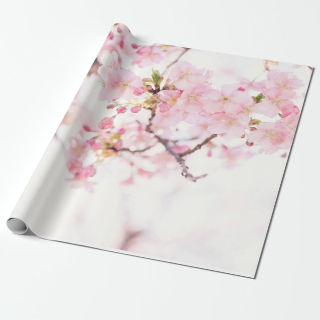 WRAPPING PAPER: CHERRY BLOSSOMS  PAPER (Unrolled)