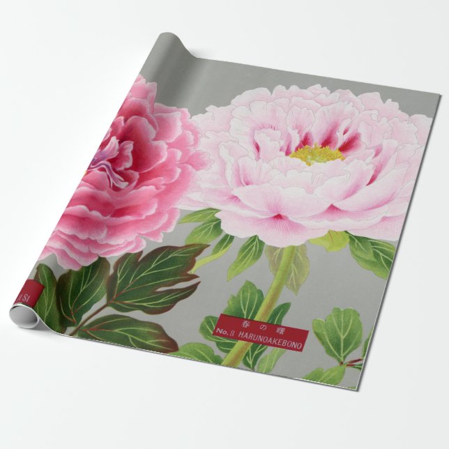 Wrapping Paper JAPANESE FLORAL PRINT PINK PEONIES (Unrolled)