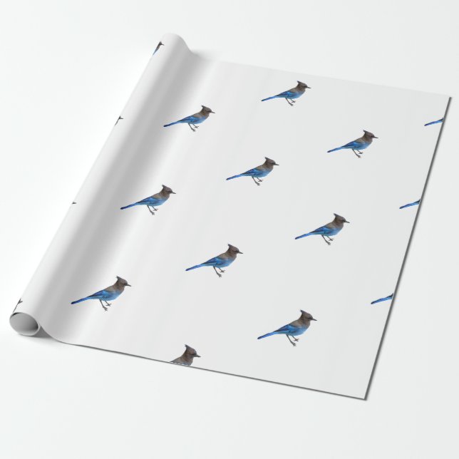 wrapping paper of stellar blue jay (Unrolled)