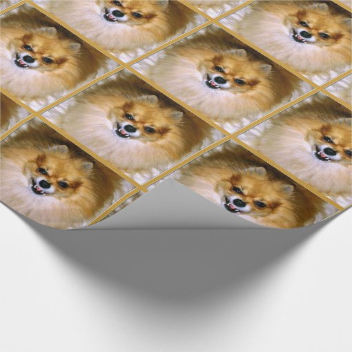 Wrapping Paper | Pomeranian Mad Dog | Zazzle