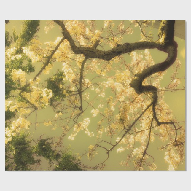 Wrapping Paper Roll Cherry Blossom Branches Design (Flat)